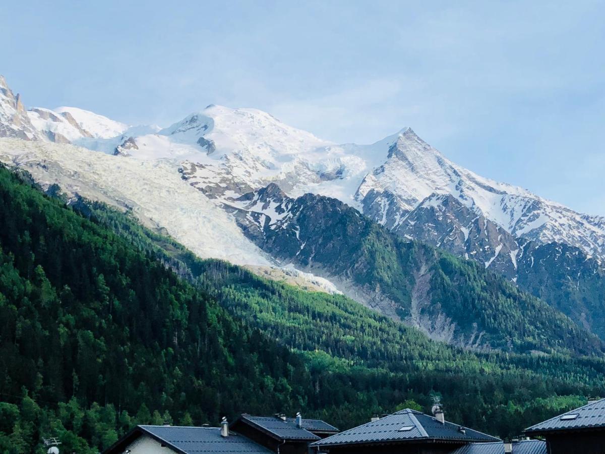 Апартаменти Mont Blanc 43, Vue Mont Blanc , Balcon, Parking Шамоні Екстер'єр фото
