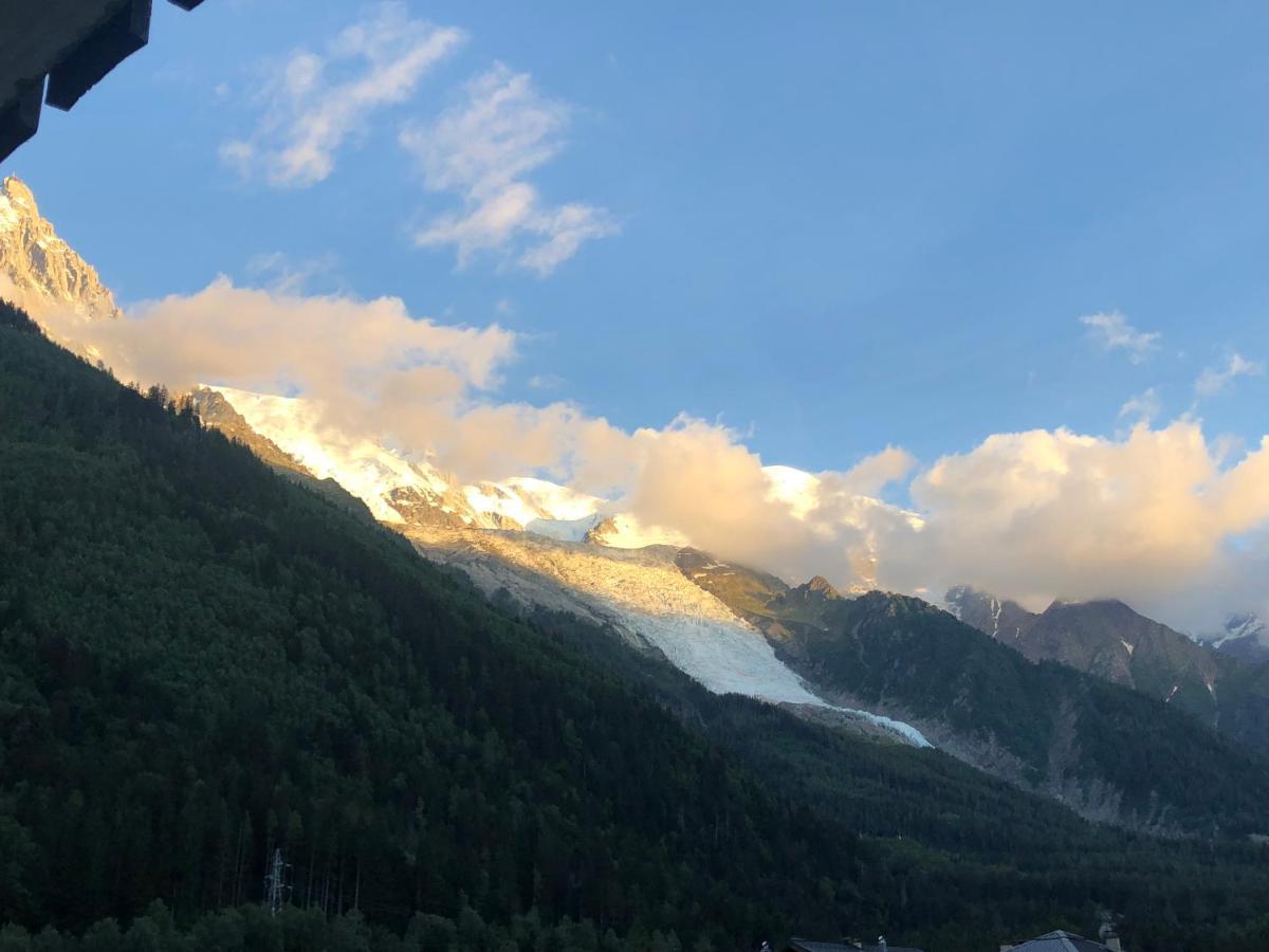 Апартаменти Mont Blanc 43, Vue Mont Blanc , Balcon, Parking Шамоні Екстер'єр фото