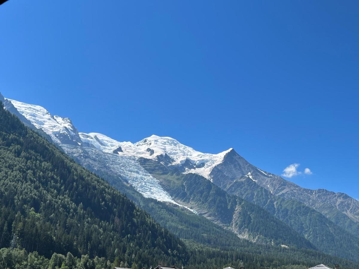 Апартаменти Mont Blanc 43, Vue Mont Blanc , Balcon, Parking Шамоні Екстер'єр фото